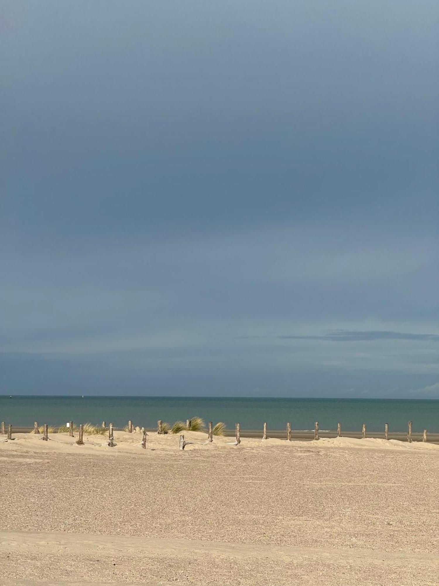 Maison Belle Rade : La Balise Malo-les-Bains Dış mekan fotoğraf